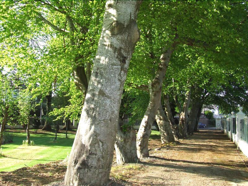 Ardgort Country House image