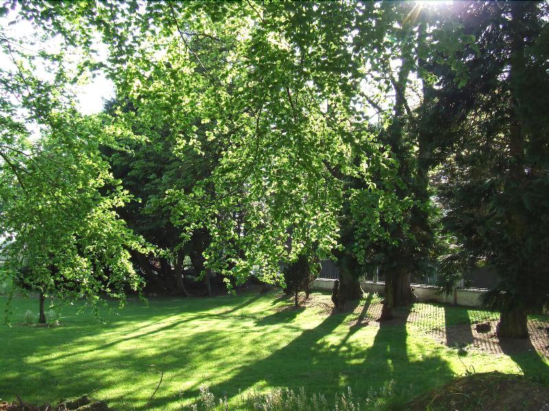 Ardgort Country House image
