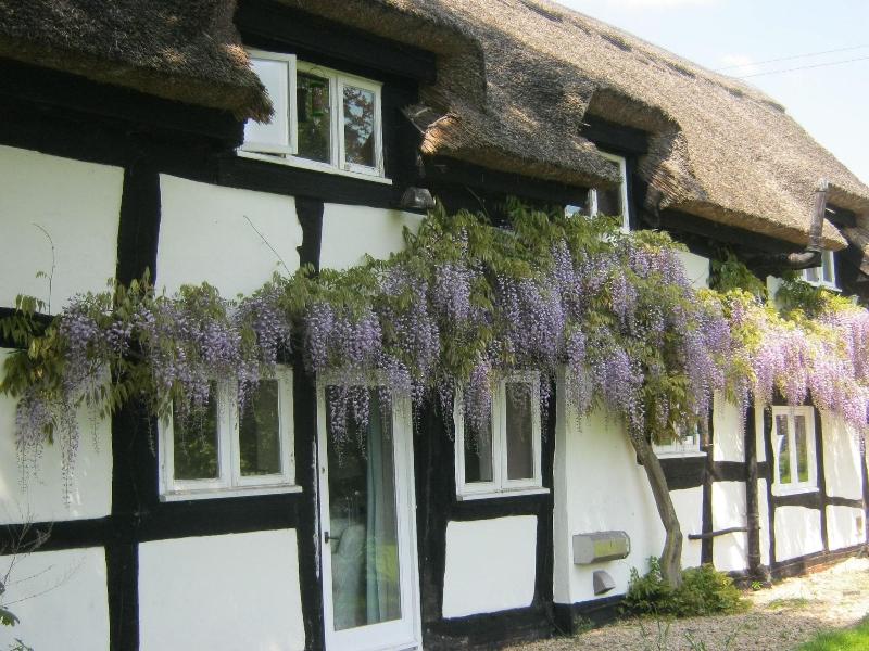 The Moats Bed And Breakfast — photo 4
