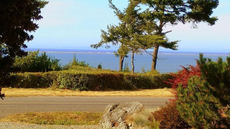 Greenhouse Inn By The Bay — photo 36