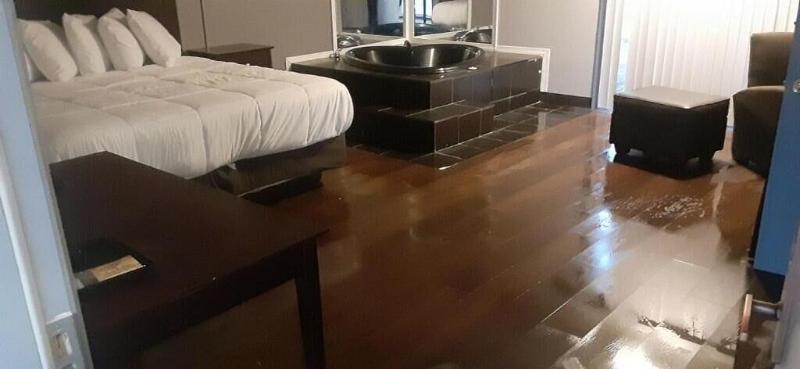 Maplehurst Motel image