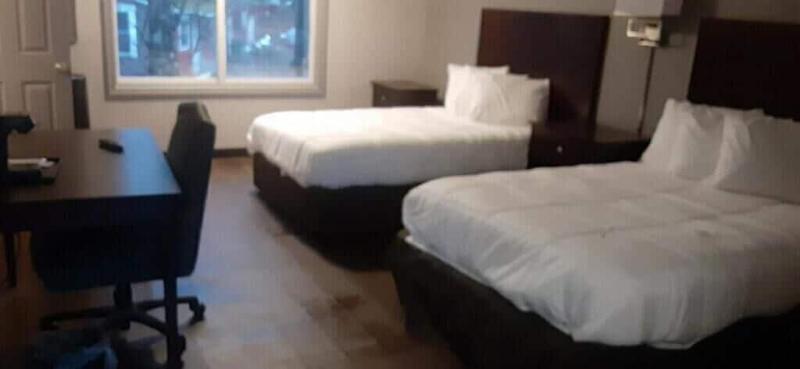 Maplehurst Motel image
