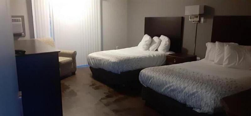 Maplehurst Motel image