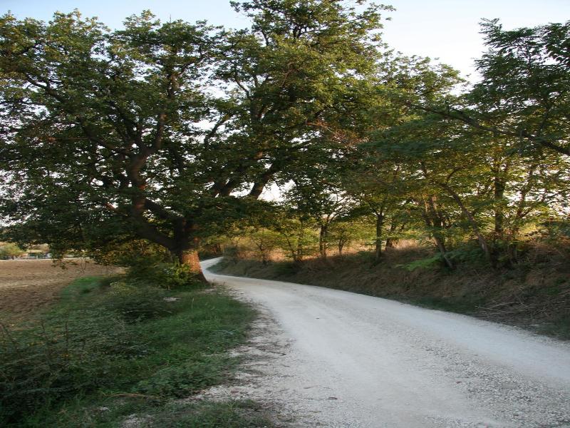 Il Campetto Country House image
