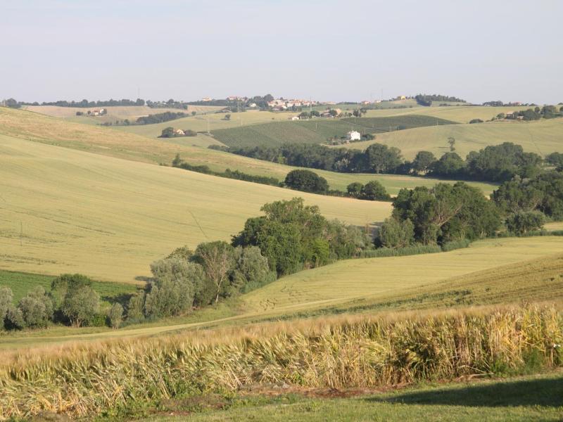 Il Campetto Country House image