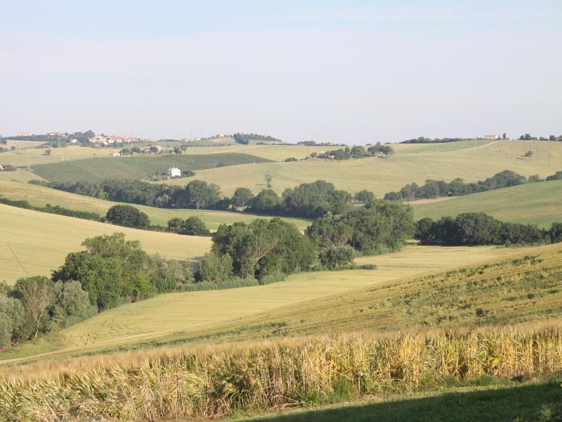 Il Campetto Country House image