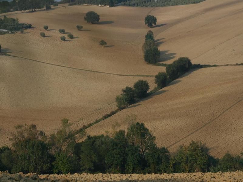 Il Campetto Country House — general view