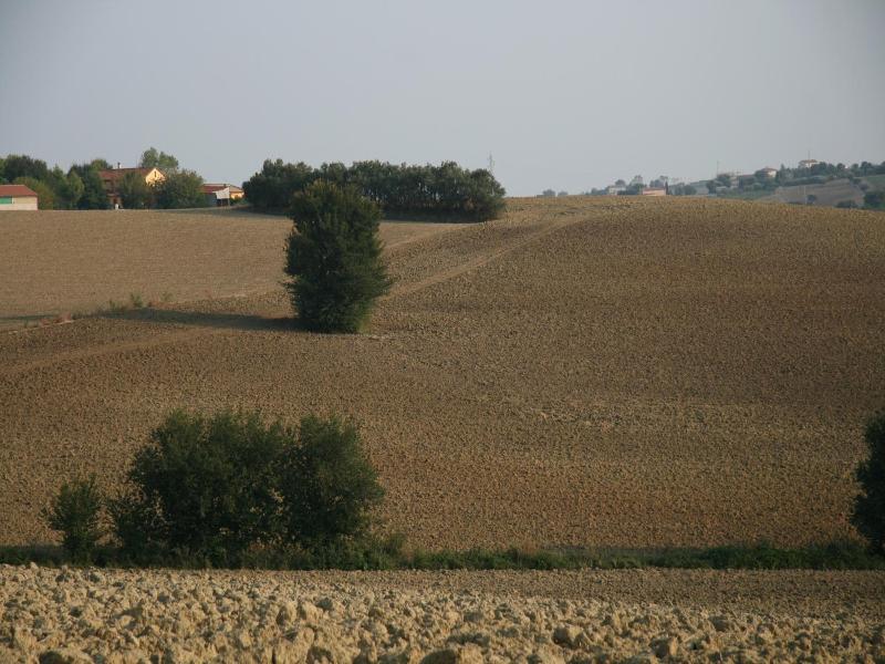 Il Campetto Country House — general view