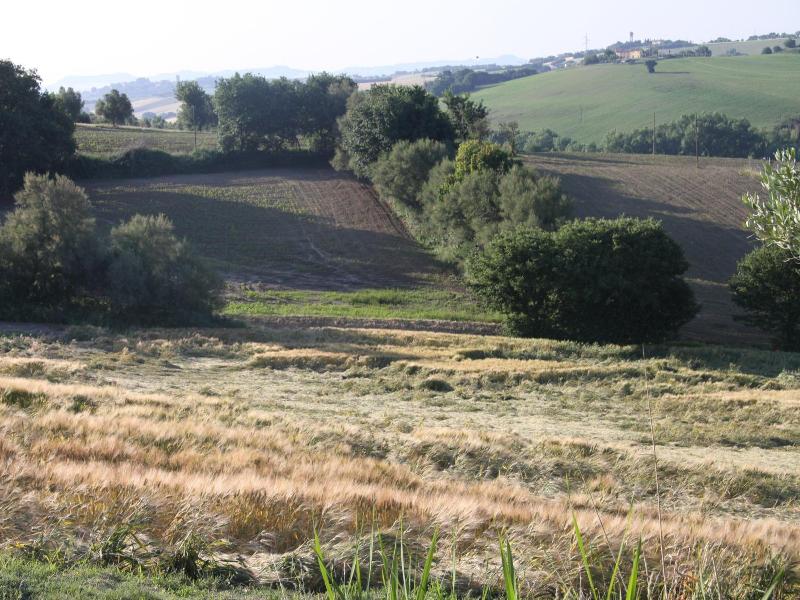 Il Campetto Country House image