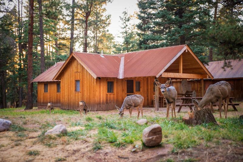 Corkins Lodge image
