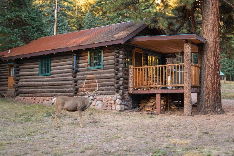 Corkins Lodge image