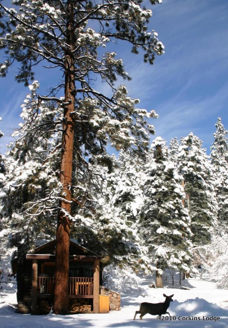 Corkins Lodge image