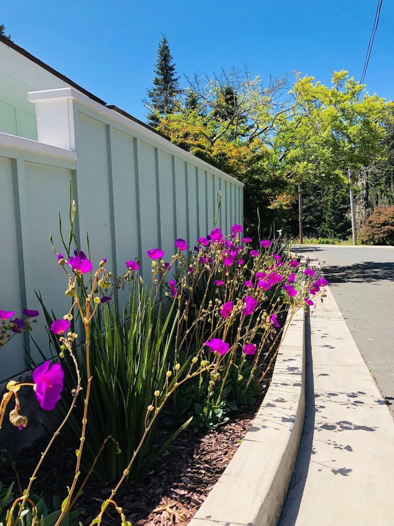 Seafoam Lodge image