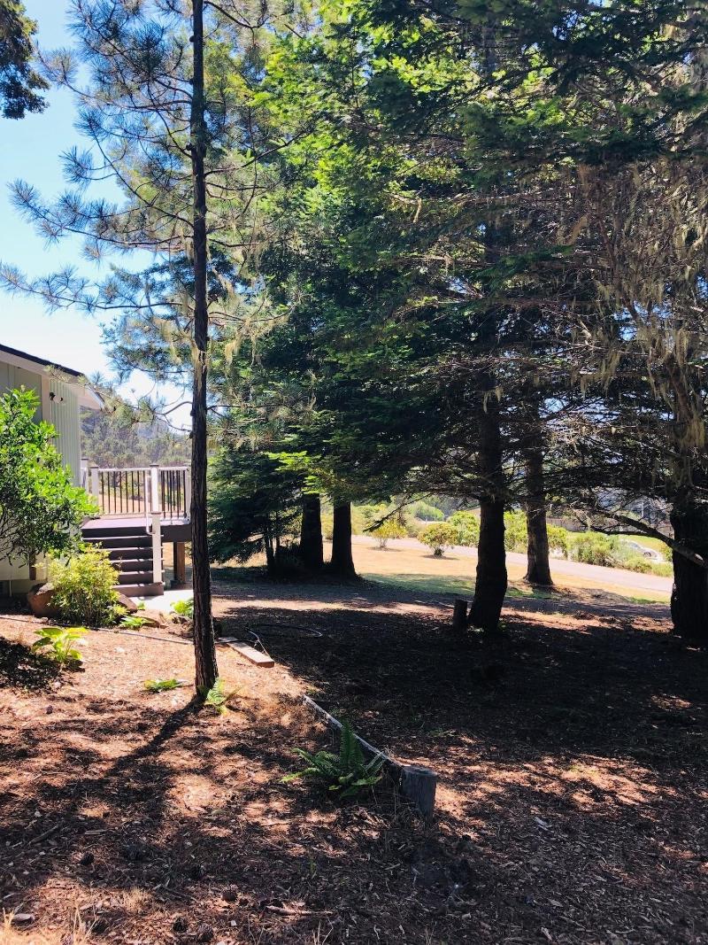 Seafoam Lodge image