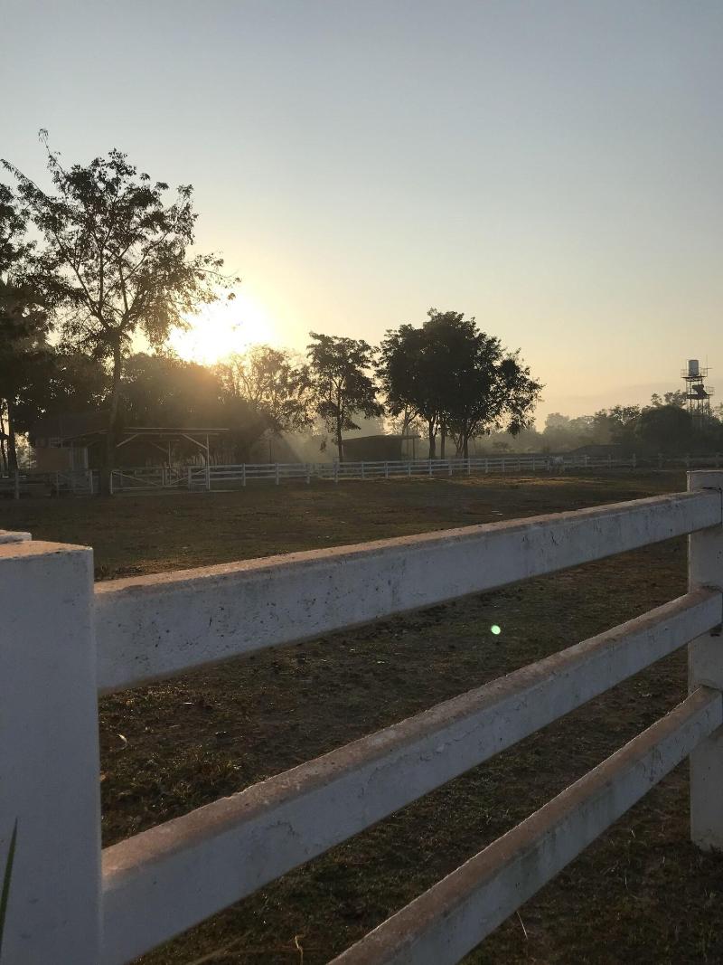 Bannraiphontawan