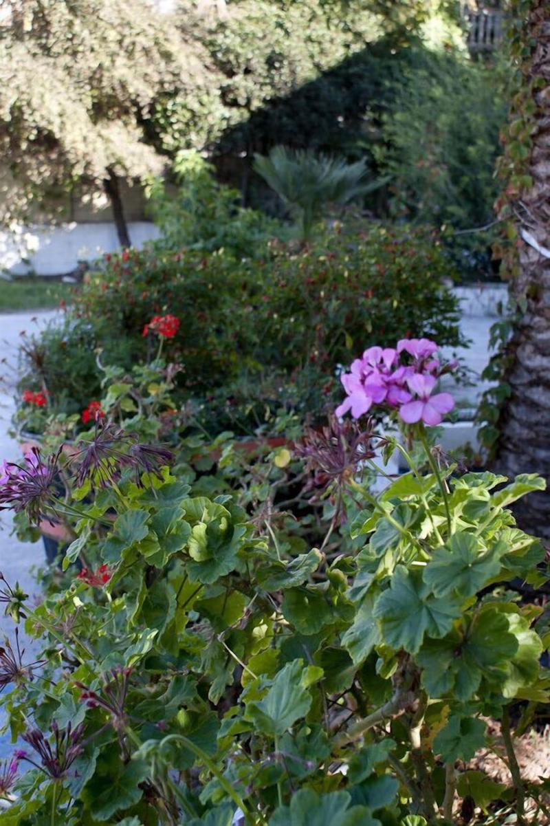 Anetis Beach Hotel image