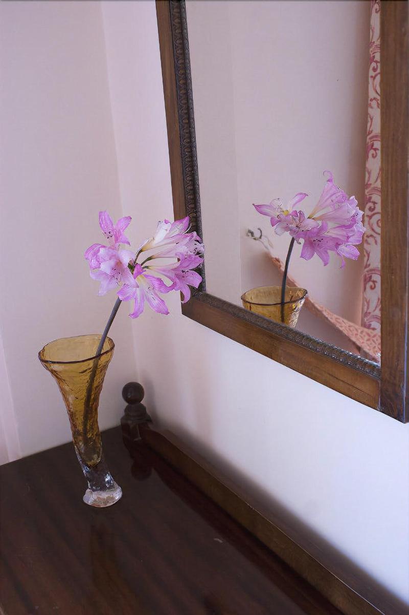 Anetis Beach Hotel image