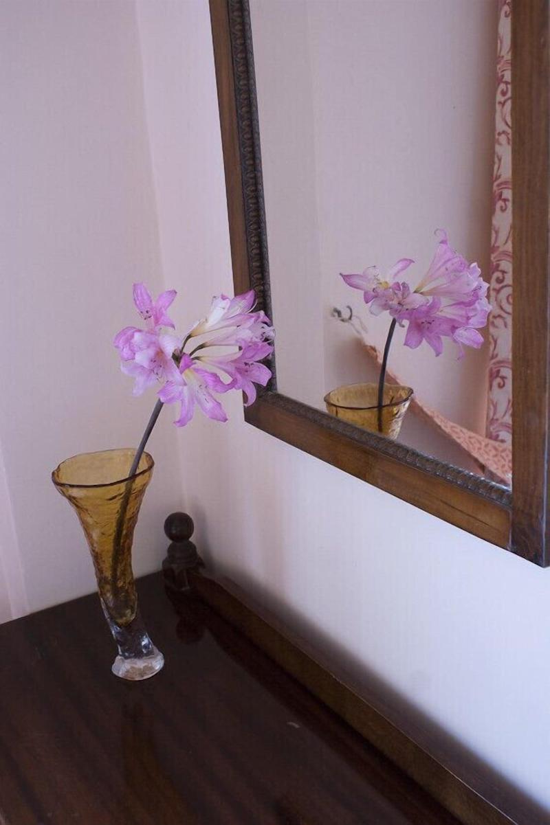 Anetis Beach Hotel image