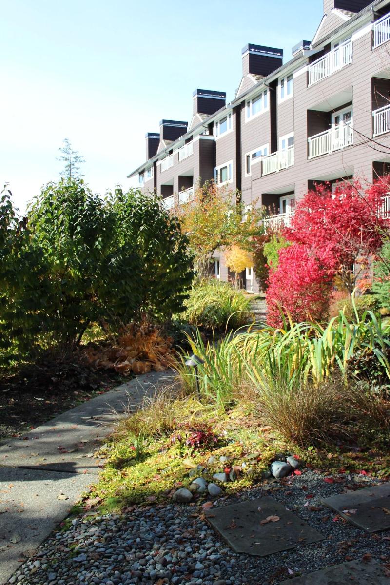 Salish Lodge & Spa image