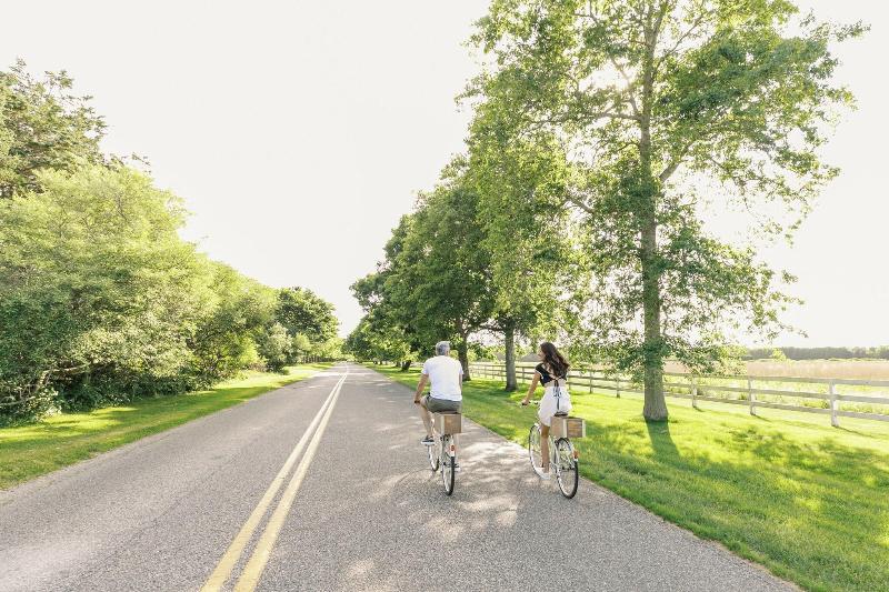 The Roundtree, Amagansett image