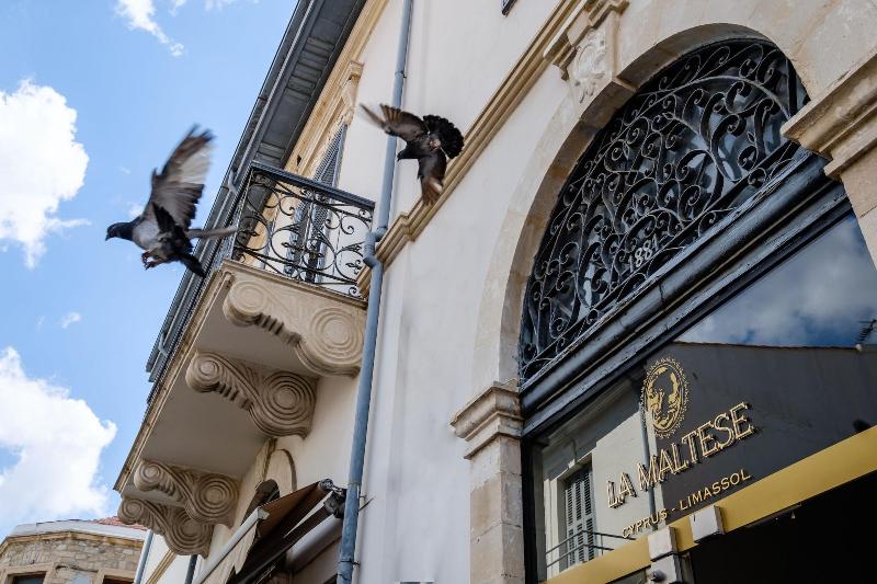 La Maltese Mansion image