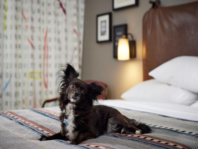 Moxy Austin - University image