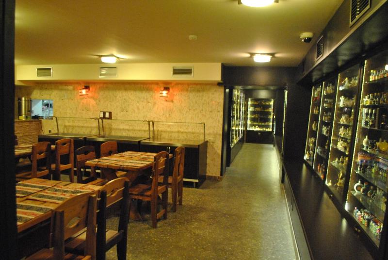 Tigran Mets image