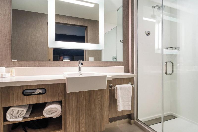 SpringHill Suites by Marriott Charleston Airport & image