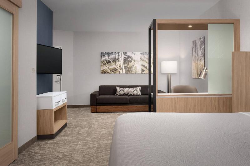 SpringHill Suites by Marriott Charleston Airport & image