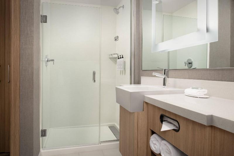 SpringHill Suites by Marriott Charleston Airport & image
