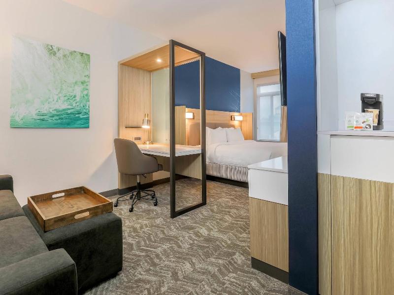 Springhill Suites By Marriott Tallahassee North image