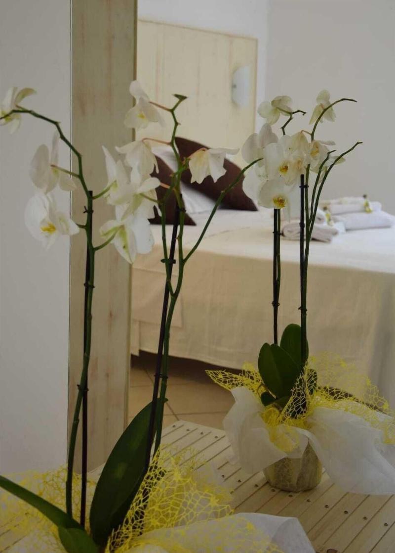 Hotel La Smorfia image