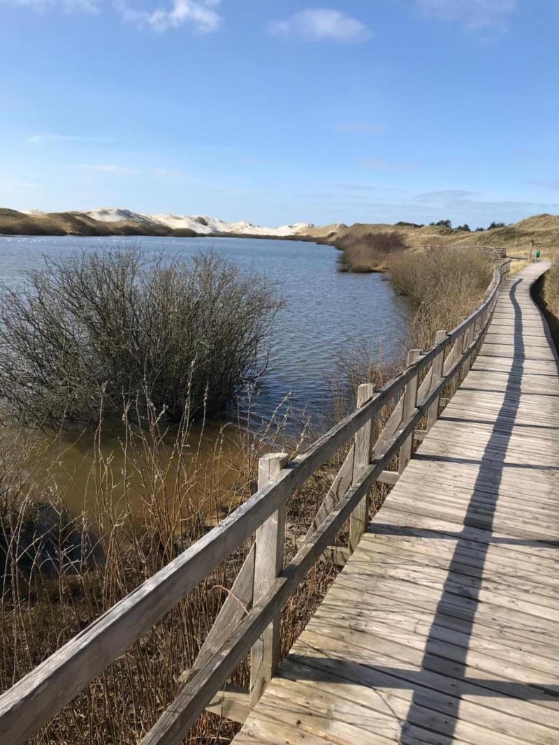 Hotel Südstrand Amrum image