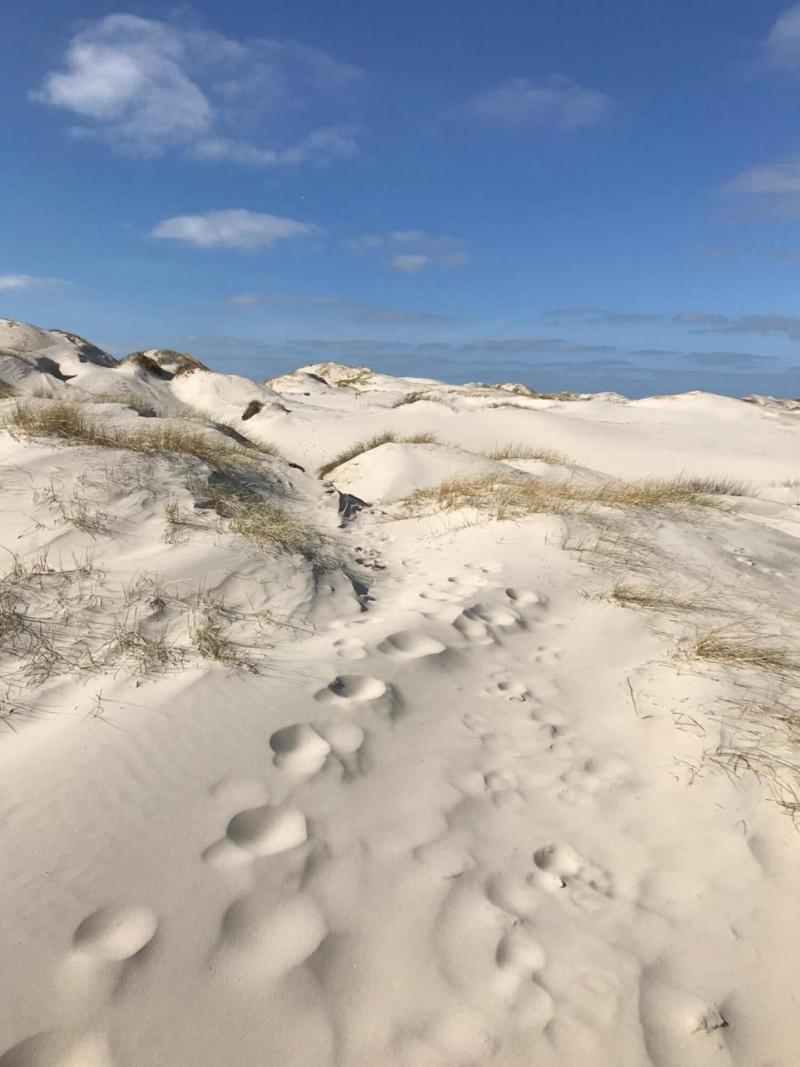 Hotel Südstrand Amrum image