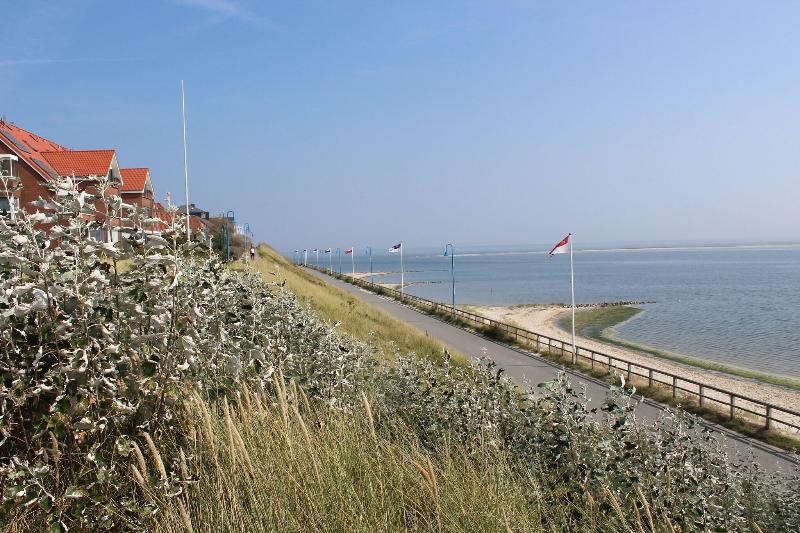 Hotel Südstrand Amrum image