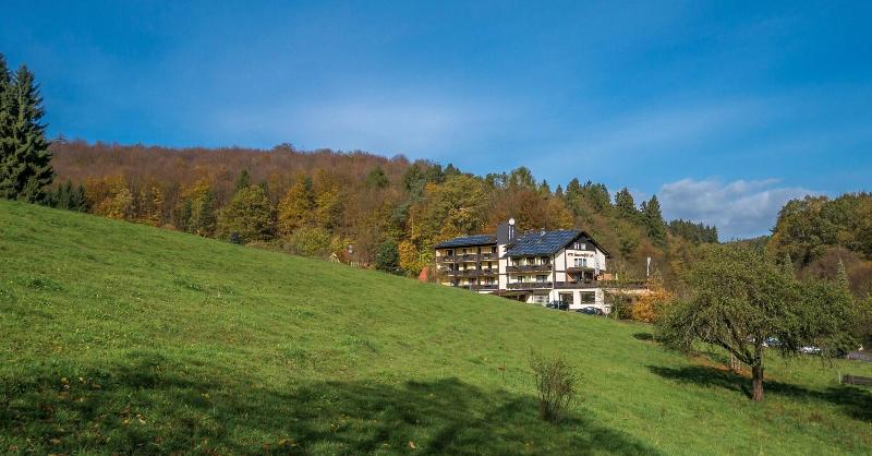 Hotel Gassbachtal & Nibelungen Café image