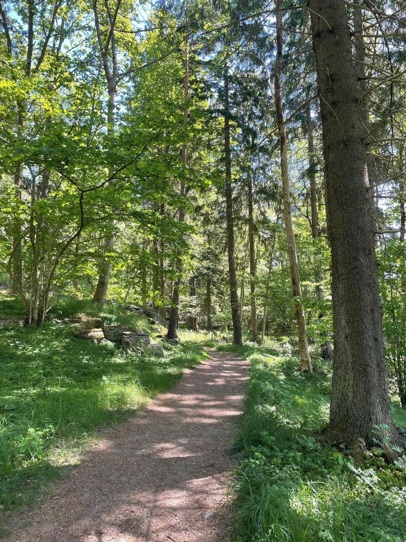 Ljungskile Folkhögskola Kurs & Konferens Hotell image