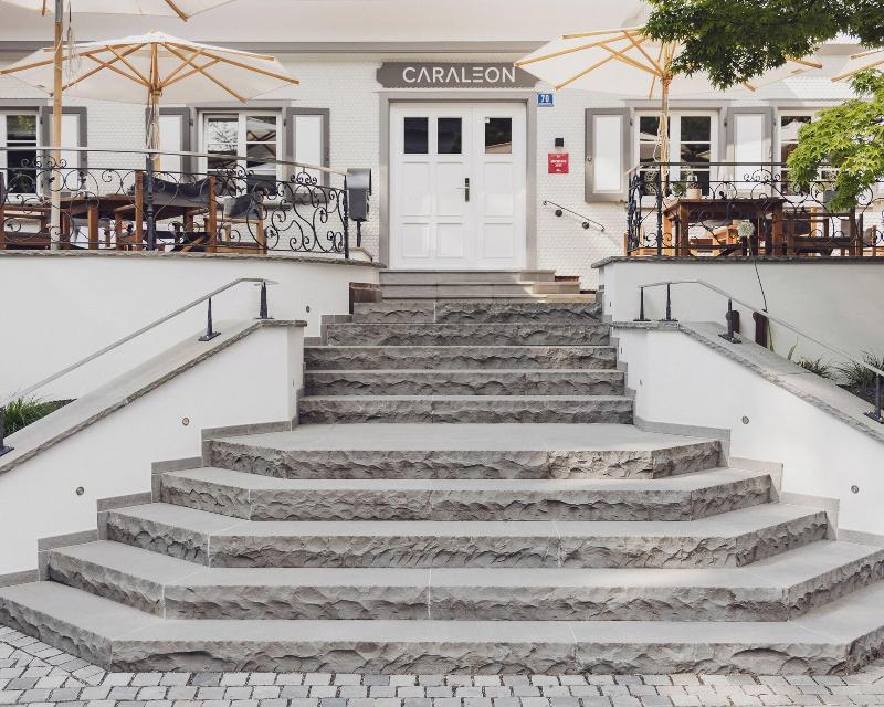 Caraleon image