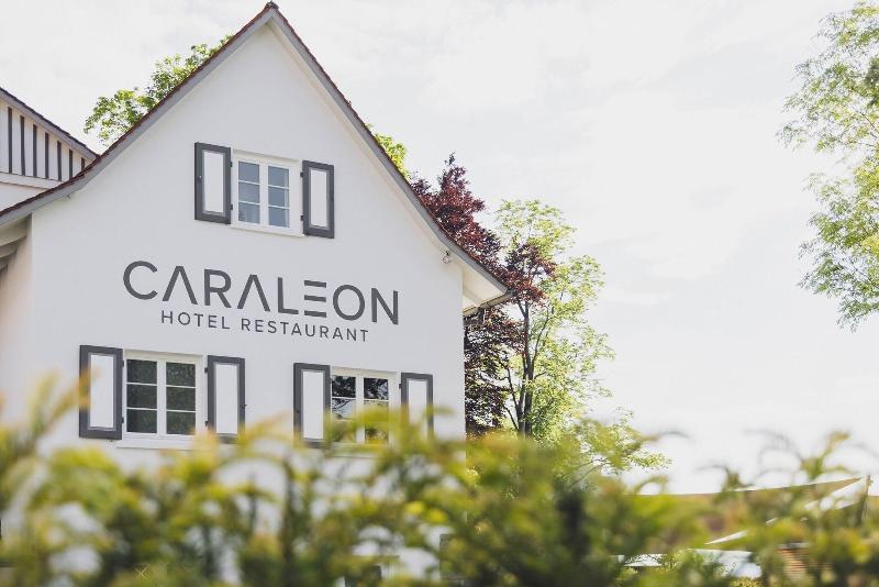Caraleon image