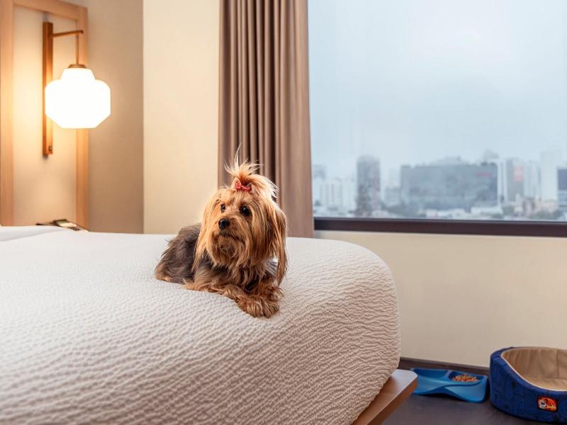 Fairfield By Marriott Lima Miraflores image