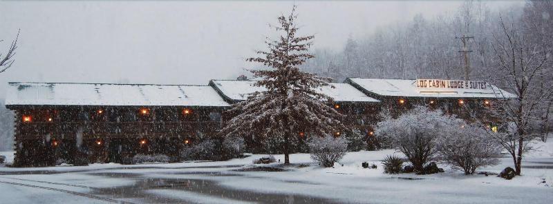 Log Cabin Lodge & Suites image