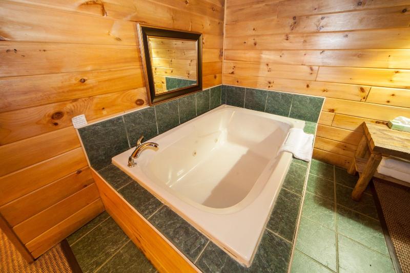 Log Cabin Lodge & Suites image