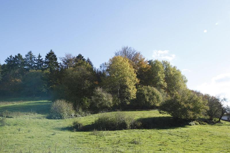 Flörsbacher Hof image