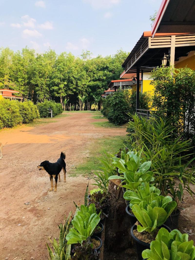 Kanyaphat Gardenview Resort — exterior view