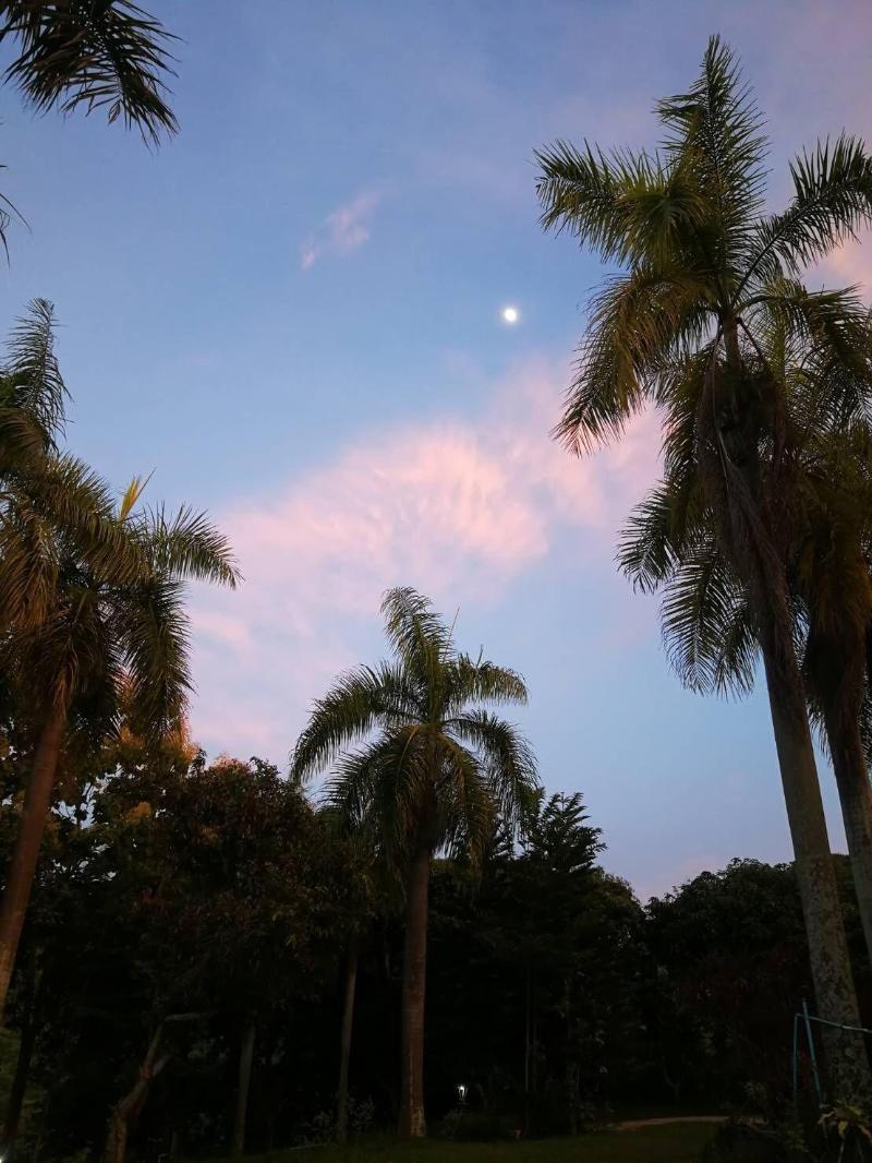 Suansaimai Resort image
