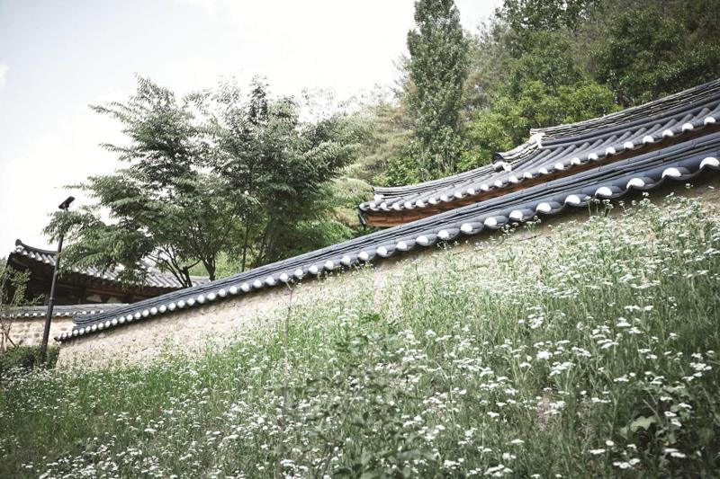 Andong Gurume Resort image