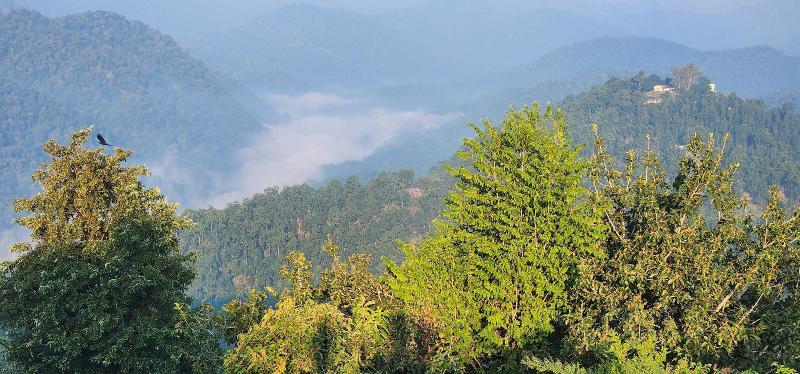 Lahermitage Resort image