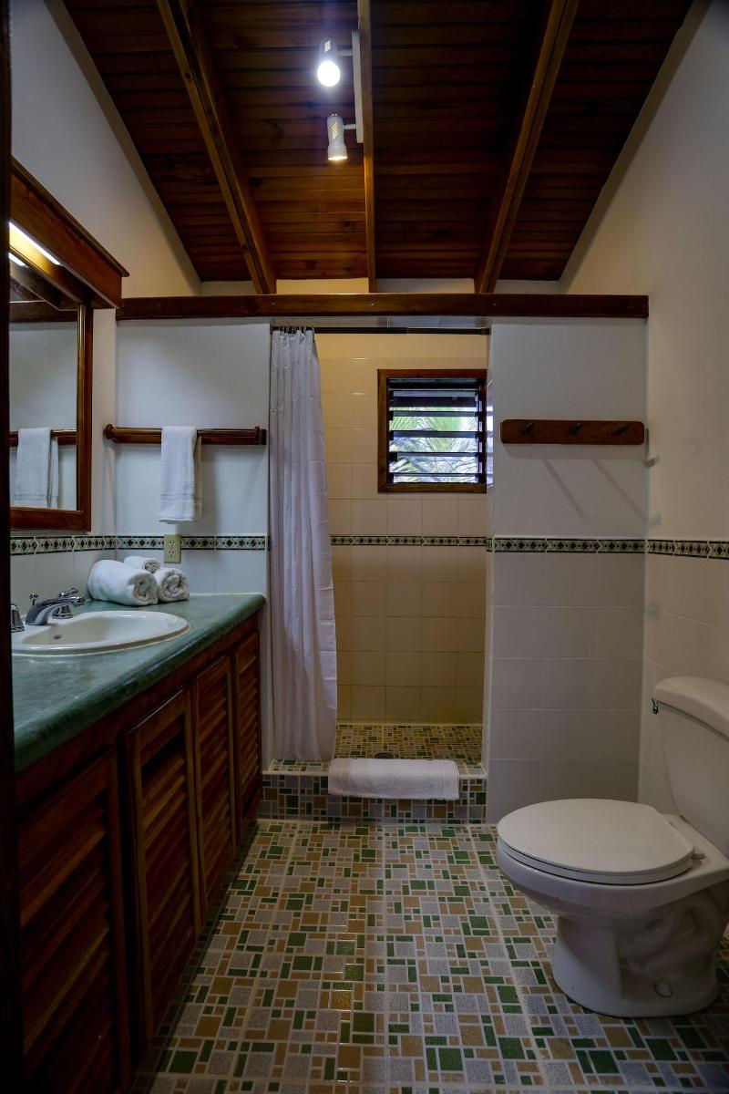 Cocolobo image