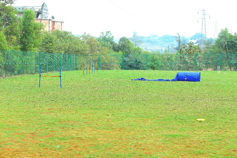 Manas Resort With Petting Zoo photo 5