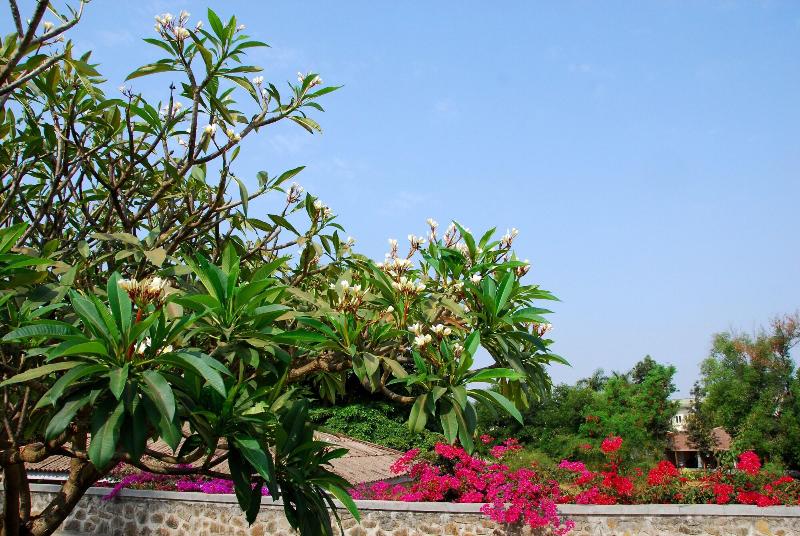 Manas Resort With Petting Zoo image
